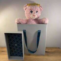 Disney Build-a-bear